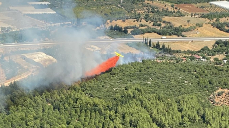 Antalya'da iki noktada orman yangını